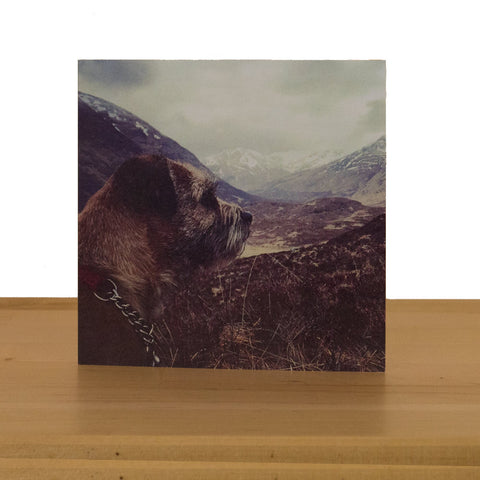 Growly Greetings - Mountain Dog