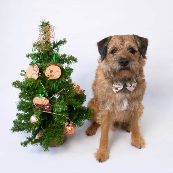 Christmas Croissant - Border Terrier Christmas decoration