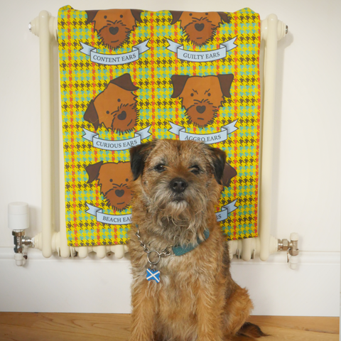 All Ears! Border Terrier tea towels